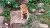 Filename=20230803_020.jpg
Filesize=611KiB
Dimensions=2048x1152
Date added=Feb 02, 2024 20230803_020.jpg