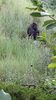 Filename=20230803_040.jpg
Filesize=524KiB
Dimensions=1152x2048
Date added=Feb 02, 2024 20230803_040.jpg
