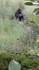 Filename=20230803_041.jpg
Filesize=422KiB
Dimensions=1152x2048
Date added=Feb 02, 2024 20230803_041.jpg