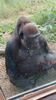Filename=20230803_044.jpg
Filesize=493KiB
Dimensions=1152x2048
Date added=Feb 02, 2024 20230803_044.jpg