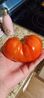 Filename=20230826_005.jpg
Filesize=147KiB
Dimensions=921x2047
Date added=Feb 02, 2024 20230826_005.jpg