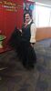 Filename=20230827_007.jpg
Filesize=468KiB
Dimensions=1152x2048
Date added=Feb 02, 2024 20230827_007.jpg