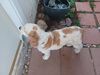Filename=20230904_005.jpg
Filesize=504KiB
Dimensions=2048x1536
Date added=Feb 03, 2024 20230904_005.jpg