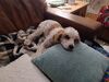 Filename=20230904_007.jpg
Filesize=480KiB
Dimensions=2048x1536
Date added=Feb 03, 2024 20230904_007.jpg