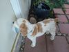 Filename=20230905_001.jpg
Filesize=404KiB
Dimensions=2048x1536
Date added=Feb 03, 2024 20230905_001.jpg
