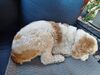Filename=20230905_002.jpg
Filesize=580KiB
Dimensions=2048x1536
Date added=Feb 03, 2024 20230905_002.jpg