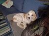 Filename=20230907_003.jpg
Filesize=648KiB
Dimensions=2048x1536
Date added=Feb 03, 2024 20230907_003.jpg
