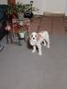 Filename=20230909_002.jpg
Filesize=290KiB
Dimensions=1536x2048
Date added=Feb 03, 2024 20230909_002.jpg