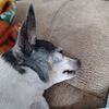 Filename=20231006_001.jpg
Filesize=655KiB
Dimensions=2048x2048
Date added=Feb 03, 2024 20231006_001.jpg