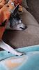 Filename=20231006_003.jpg
Filesize=431KiB
Dimensions=1152x2048
Date added=Feb 03, 2024 20231006_003.jpg
