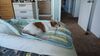 Filename=20231011_001.jpg
Filesize=293KiB
Dimensions=2048x1152
Date added=Feb 03, 2024 20231011_001.jpg