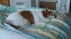 Filename=20231011_002.jpg
Filesize=291KiB
Dimensions=2048x1152
Date added=Feb 03, 2024 20231011_002.jpg
