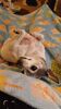 Filename=20231018_011.jpg
Filesize=291KiB
Dimensions=1152x2048
Date added=Feb 03, 2024 20231018_011.jpg