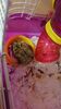 Filename=20231028_002.jpg
Filesize=233KiB
Dimensions=1152x2048
Date added=Feb 03, 2024 20231028_002.jpg