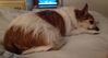 Filename=20231114_001.jpg
Filesize=198KiB
Dimensions=2047x1098
Date added=Feb 03, 2024 20231114_001.jpg