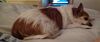 Filename=20231114_002.jpg
Filesize=192KiB
Dimensions=2048x864
Date added=Feb 03, 2024 20231114_002.jpg