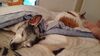 Filename=20231114_003.jpg
Filesize=263KiB
Dimensions=2048x1152
Date added=Feb 03, 2024 20231114_003.jpg