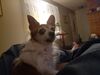 Filename=20231121_001.jpg
Filesize=346KiB
Dimensions=2048x1536
Date added=Feb 03, 2024 20231121_001.jpg