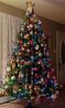 Filename=20231125_001.jpg
Filesize=411KiB
Dimensions=1228x2047
Date added=Feb 03, 2024 20231125_001.jpg