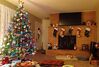 Filename=20231127_011.jpg
Filesize=453KiB
Dimensions=2048x1385
Date added=Feb 03, 2024 20231127_011.jpg