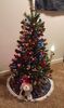 Filename=20231129_002.jpg
Filesize=451KiB
Dimensions=1210x2048
Date added=Feb 03, 2024 20231129_002.jpg