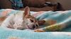 Filename=20231201_001.jpg
Filesize=388KiB
Dimensions=2048x1152
Date added=Feb 12, 2024 20231201_001.jpg