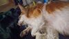 Filename=20231202_001.jpg
Filesize=298KiB
Dimensions=2048x1152
Date added=Feb 12, 2024 20231202_001.jpg