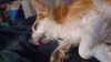 Filename=20231202_002.jpg
Filesize=290KiB
Dimensions=2048x1152
Date added=Feb 12, 2024 20231202_002.jpg