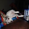 Filename=20231213_001.jpg
Filesize=522KiB
Dimensions=2048x2048
Date added=Feb 12, 2024 20231213_001.jpg