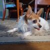 Filename=20231214_001.jpg
Filesize=372KiB
Dimensions=2048x2048
Date added=Feb 12, 2024 20231214_001.jpg