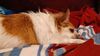 Filename=20231222_002.jpg
Filesize=308KiB
Dimensions=2048x1152
Date added=Feb 12, 2024 20231222_002.jpg