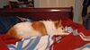 Filename=20231222_003.jpg
Filesize=300KiB
Dimensions=2048x1152
Date added=Feb 12, 2024 20231222_003.jpg