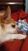 Filename=20231222_004.jpg
Filesize=336KiB
Dimensions=1152x2048
Date added=Feb 12, 2024 20231222_004.jpg