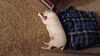 Filename=20231223_003.jpg
Filesize=559KiB
Dimensions=2048x1152
Date added=Feb 12, 2024 20231223_003.jpg