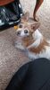 Filename=20231224_001.jpg
Filesize=371KiB
Dimensions=1152x2048
Date added=Feb 12, 2024 20231224_001.jpg
