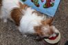 Filename=20231225_029.jpg
Filesize=315KiB
Dimensions=2048x1365
Date added=Feb 12, 2024 20231225_029.jpg