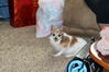 Filename=20231225_040.jpg
Filesize=478KiB
Dimensions=2048x1365
Date added=Feb 12, 2024 20231225_040.jpg