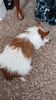 Filename=20231225_110.jpg
Filesize=606KiB
Dimensions=1152x2048
Date added=Feb 12, 2024 20231225_110.jpg