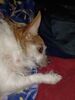 Filename=20231227_001.jpg
Filesize=536KiB
Dimensions=1536x2048
Date added=Feb 12, 2024 20231227_001.jpg