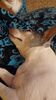 Filename=20231231_003.jpg
Filesize=343KiB
Dimensions=1152x2048
Date added=Feb 12, 2024 20231231_003.jpg