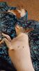 Filename=20231231_004.jpg
Filesize=371KiB
Dimensions=1152x2048
Date added=Feb 12, 2024 20231231_004.jpg