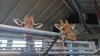 Filename=20240101_004.jpg
Filesize=325KiB
Dimensions=2048x1152
Date added=Apr 05, 2024 20240101_004.jpg