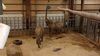 Filename=20240101_013.jpg
Filesize=441KiB
Dimensions=2048x1152
Date added=Apr 05, 2024 20240101_013.jpg