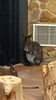 Filename=20240101_026.jpg
Filesize=256KiB
Dimensions=1152x2048
Date added=Apr 05, 2024 20240101_026.jpg