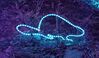 Filename=20240101_051.jpg
Filesize=449KiB
Dimensions=2048x1203
Date added=Apr 05, 2024 20240101_051.jpg