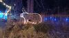 Filename=20240101_060.jpg
Filesize=494KiB
Dimensions=2048x1152
Date added=Apr 05, 2024 20240101_060.jpg