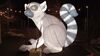 Filename=20240101_062.jpg
Filesize=347KiB
Dimensions=2048x1152
Date added=Apr 05, 2024 20240101_062.jpg