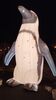 Filename=20240101_063.jpg
Filesize=251KiB
Dimensions=1152x2048
Date added=Apr 05, 2024 20240101_063.jpg