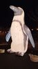 Filename=20240101_064.jpg
Filesize=234KiB
Dimensions=1152x2048
Date added=Apr 05, 2024 20240101_064.jpg