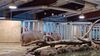 Filename=20240101_065.jpg
Filesize=383KiB
Dimensions=2048x1152
Date added=Apr 05, 2024 20240101_065.jpg